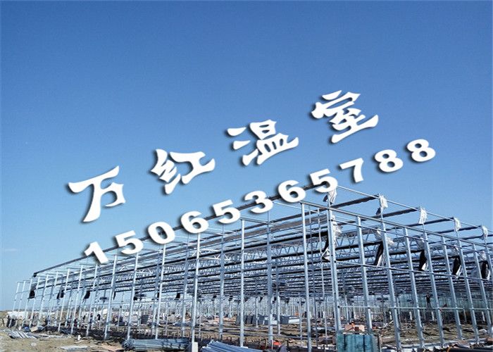 大型智能(néng)連棟花(huā)卉市場溫室骨架