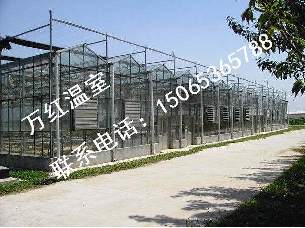 江蘇溫室大棚廠家//江蘇溫室大棚案例點擊查詢吧！